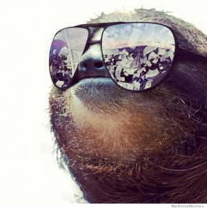 30 of the Greatest Sloth Memes, Gifs, and Comics enjoy!