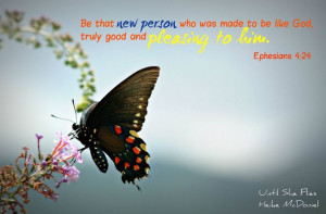 Bible Verses About Encouragement | Until She Flies