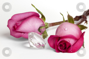 Two Pink Roses and Large Crystal Diamond stock photo, Two fresh pink ...