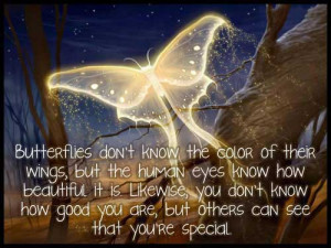 Butterflies don't know the color of their wings, you don't know how ...