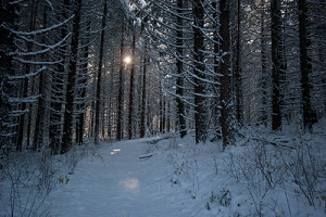 Dark Winter Wallpaper Gargar