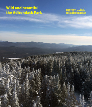 More beautiful winter scenes from Protect the Adirondacks