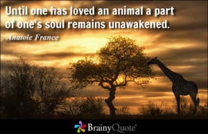 Until one has loved an animal a part of one's soul remains unawakened ...