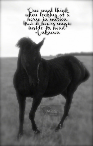 STUNNING dancing black Arabian mare owned by Montana Horse Trailers