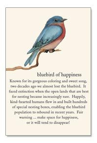 Bluebird of Happiness~Known for its gorgeous coloring and sweet song ...