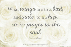 Wings, Sails & Prayer