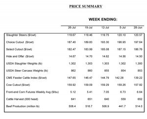 Monthly Outlook: Frustrating Cattle Market Shows Positive Signs