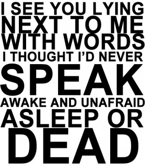 famous last words, lyrics, mcr, my chemical romance, text