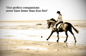 famous quotes, horse, beach, horse riding