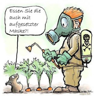 rhein: Mit dem neuen Gift Biscaya gegen den Maiswurzelbohrer?