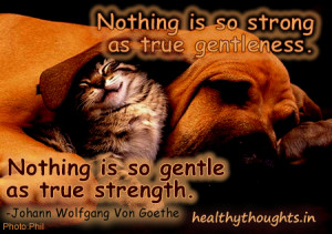 kindness-gentleness-motivational-quotes