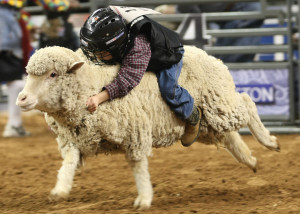 Photo courtesy of RodeoHouston