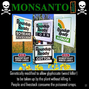 13 deadliest corporations