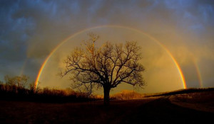 40 Very Cool Rainbow Pictures
