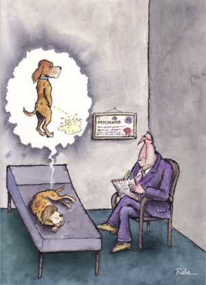 Gambar untuk Funny Dog Pictures Psychiatrist Pugjpg