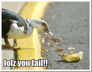 Funny Duck Image for Fb Share