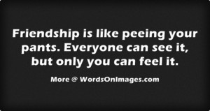 Friendship is like peeing your pants. everyone can see it, but only ...