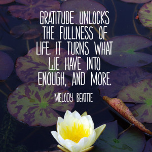 Being Grateful Quotes Gratitude giving. source