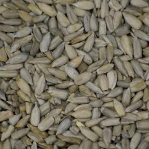 Sunflower Seed (hulled) 400g - Organic