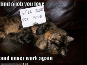Find a job You Love – Funny Cat Quote