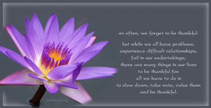 Be thankful quotes, slow down and be thankful