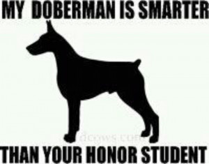 Via DobermanMomma