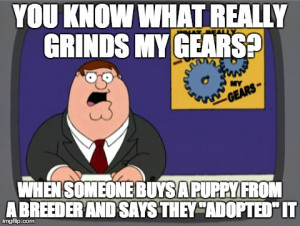 Peter Griffin News Meme | YOU KNOW WHAT REALLY GRINDS MY GEARS? WHEN ...