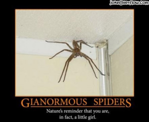 Posted by Casey On January - 9 - 2009