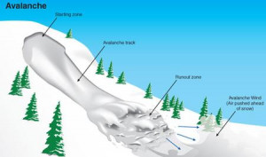 This is an avalanche and the different parts!