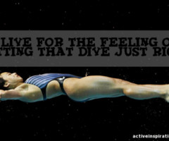 Springboard Diving Quotes Springboard diving images