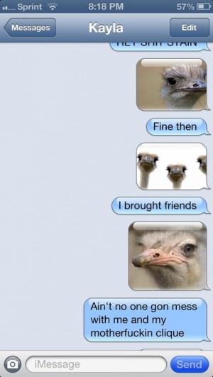 ... Pictures ostrich funny animal pics omg wit lol funny cartoons quotes