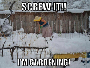 Shows woman in tank top and skirt working in a snow-covered garden