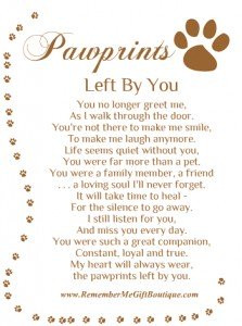Dog Quotes Loss Quotes About Pet Loss