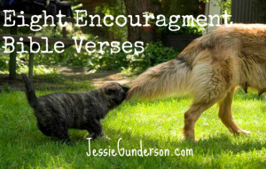 Eight Encouragement Bible Verses