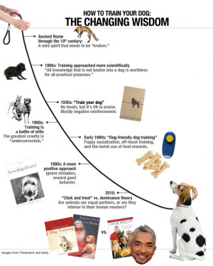 Cesar Millan and the history of dog training.