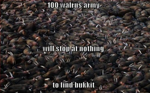 teenage tramps + skintight pants) x E street dance = it's alright.