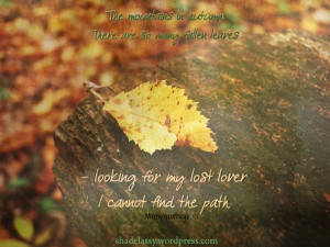 Sunday Quote: Falling Leaves