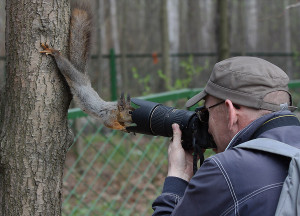 Eichhörnchen und Kamera