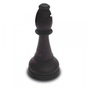 Chess Pieces Bishop Sorry