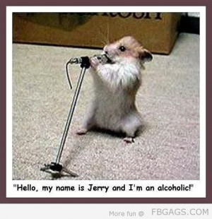 Funny Pictures Captions on Lables Hamster Funny Funny Hamster Pics ...