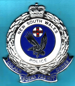 Thin Blue Line Badge