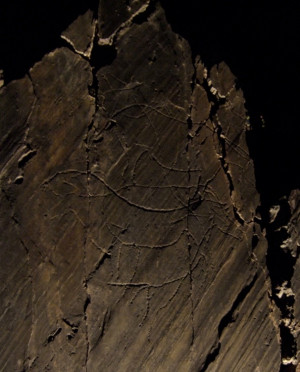 One of the many panels with proto-Solutrean, pecked outlines of ...