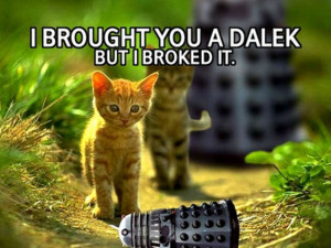 Funny cat with a dalek++ by Werelyokoman