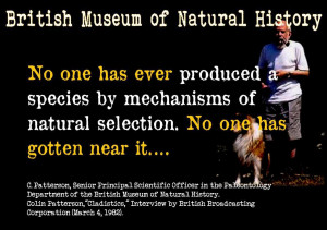 Free downloads of the above go to