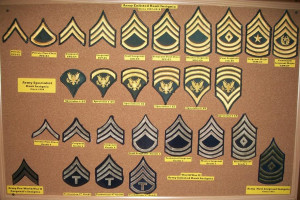 Army Enlisted Rank Insignia Pictures United States