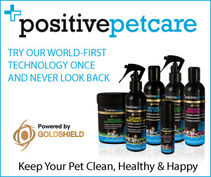 Look after your pet with Positive Pet Care