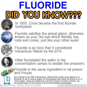Fluoride-Free Pineal Gland is More Important than Ever | in5d.com ...