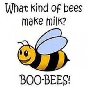 Bee's - LOL