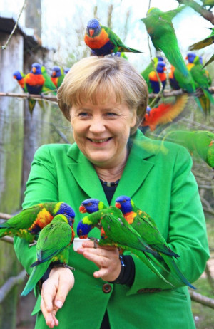 can't tell which is more significant, the green or the parrots ...