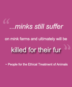 mink eyelash extensions genuine fur quote from peta